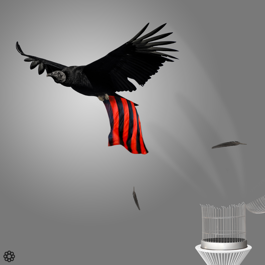 Urubu